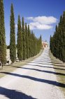 Camino de grava bordeado de cipreses en Italia, Europa - foto de stock