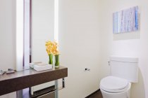 Простір ванної кімнати в житловому будинку в Далласі, штат Техас, США — стокове фото