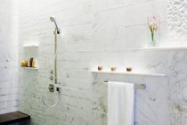 Mur de salle de bain en Dallas, Texas, États-Unis — Photo de stock