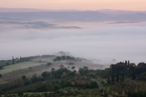 Brouillard de vallée dans la Val DOrcia à l'aube en Italie, Europe — Photo de stock
