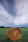 Heno bale in green field in McKinney, Texas, Estados Unidos - foto de stock