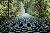 Fußgängerbrücke im üppigen und grünen Costa Rica Regenwald — Stockfoto