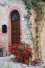Plantas em vaso em frente à porta arqueada na Toscana, Itália, Europa — Fotografia de Stock