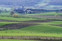 Amish farmhouses and farmland with green crops, Belleville, Pennsylvania, EE.UU. - foto de stock