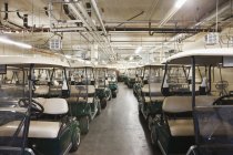 Chariots de golf en entrepôt, Cle Elum, Washington, USA — Photo de stock