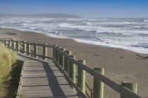 California coast boardwalk in sunlight with ocean water at Bodega bay, USA — Stock Photo