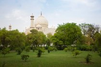 Taj Mahal derrière des arbres dans un parc, Agra, Uttar Pradesh, Inde — Photo de stock