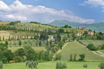 Vista panorâmica da paisagem verde rolante, Toscana, Itália — Fotografia de Stock