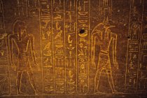 Sarcófago Exterior com hieróglifos, quadro completo, close-up — Fotografia de Stock