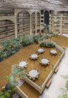 Tables in hotel courtyard, high angle view — Stock Photo