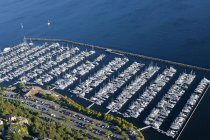 Aerial view of yachts in marina in Seattle, Washington, USA — Stock Photo