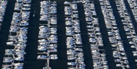 Aerial view of yachts in marina in Seattle, Washington, USA — Stock Photo