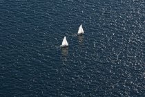 Sailboats in ocean in Seattle, Washington, USA — Stock Photo