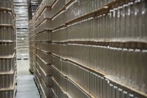 Glass bottles stacked in warehouse, Preston, Washington, USA — Stock Photo