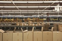Cajas de cartón a lo largo de la línea de producción en almacén - foto de stock