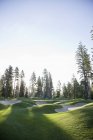 Árvores ao redor do campo de golfe com armadilhas de areia, Washington, EUA — Fotografia de Stock