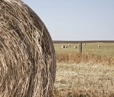 Gros plan d'une balle de foin circulaire dans un champ rural — Photo de stock