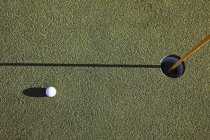 Білий м'яч для гольфу біля чашки на зеленому полі на сонячному світлі — стокове фото