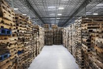 Palettes empilées dans un entrepôt, Sumner, Washington, USA — Photo de stock