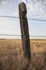 Clôture en fil de fer barbelé et poteau en bois avec champ agricole saisonnier, Washington, États-Unis — Photo de stock