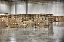Cardboard boxes and pallets in warehouse, Sumner, Washington, USA — Stock Photo