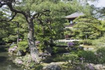 Здание и пруд японского сада в Киото, Япония — стоковое фото