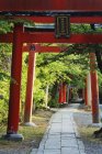 Caminho de pedra e arcos japoneses em Kyoto, Japão — Fotografia de Stock