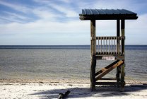Suporte de salva-vidas na praia de areia, Flórida, EUA — Fotografia de Stock