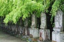 Fileira de ídolos estatuários espirituais na Ilha Miyajima, Prefeitura de Hiroshima, Japão — Fotografia de Stock