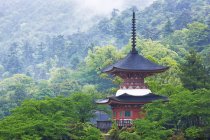 Pagoda in woodland of Honshu Island, Japan, Asia — Stock Photo