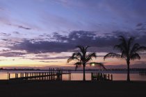 Doca ao amanhecer com silhuetas de palmas e paisagem nebulosa cênica — Fotografia de Stock