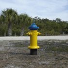 Beach fire hydrant with tropical palms in background — Stock Photo