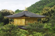 Top of yellow Pagoda building in woods of Kyoto, Japan — Stock Photo