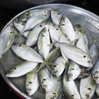 Nahaufnahme von frischem rohen Fisch in Schüssel — Stockfoto