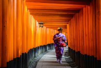 Mujer en kimono caminando bajo pilares de madera de la puerta tradicional Fushimi Inari, Fushimi-ku, Kyoto, Prefectura de Kyoto, Japón - foto de stock