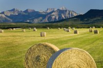 Balles de foin dans un champ agricole dans un paysage rural avec des montagnes — Photo de stock
