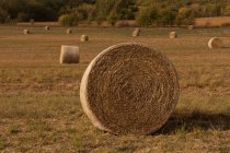 Fardos de feno no campo de cultivo na paisagem rural — Fotografia de Stock