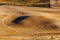 Aerial view of tilled field of wheat — Stock Photo