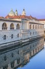 Багато прикрашений будівлі відображені в річці в міський пейзаж з собором Любляна, Центральна Словенія, Словенія — стокове фото