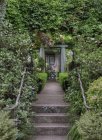 Шаги в пышном саду в Снохомише, Вашингтон, США — стоковое фото
