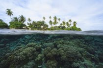 Arrecife en aguas tropicales, Bora Bora, Polinesia Francesa - foto de stock