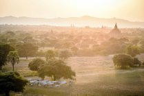 Ovejas pastando en el paisaje brumoso a la luz del sol de Myanmar - foto de stock