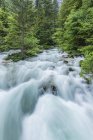 Blurred view of rocky creek water in forest — Stock Photo