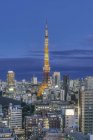 Torre de Tóquio e paisagem urbana à noite em Tóquio, Japão — Fotografia de Stock
