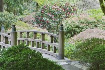 Holzsteg im japanischen Garten, Portland, Oregon, Vereinigte Staaten — Stockfoto