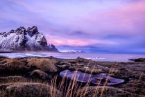 Mountains over beach and remote field plants in Iceland — Stock Photo