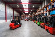 Forklift machinery working in warehouse — Stock Photo
