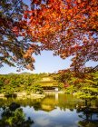 Templo de Ouro refletindo em lago imóvel, Kyoto, Japão — Fotografia de Stock