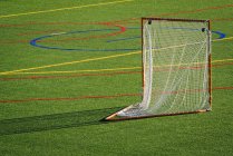 Goal on green lacrosse field in daylight — Stock Photo