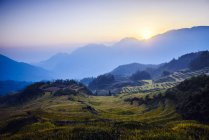Campo di riso e sole nelle montagne rurali paesaggio — Foto stock